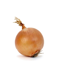 cebollas.jpg
