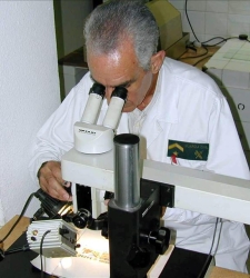 microscopio-senor.jpg