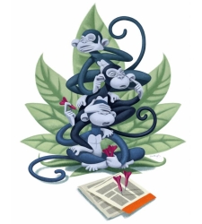 monos.jpg