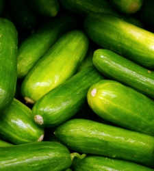 pepinos.jpg