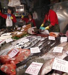 pescaderia-efe.jpg