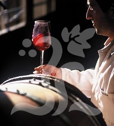 rioja.jpg