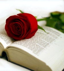 rosa_libro2.jpg