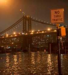 sandy1.jpg