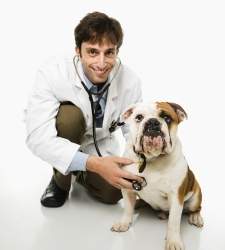 veterinario-feliz.jpg