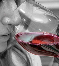 vino.jpg