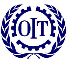 oit_213.jpg