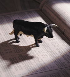 Toro-oscuro.jpg