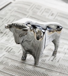 toro