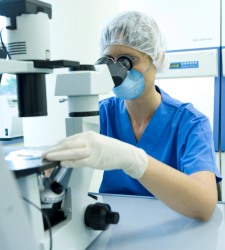 investigacion.jpg