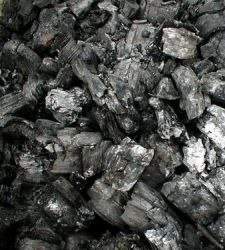 carbon_vegetal.jpg
