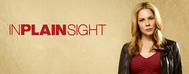 Al descubierto - In plain sight