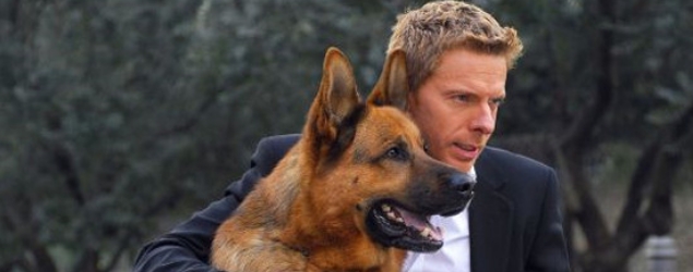 Rex, un policia diferente