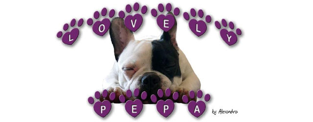 lovely-pepa-logo