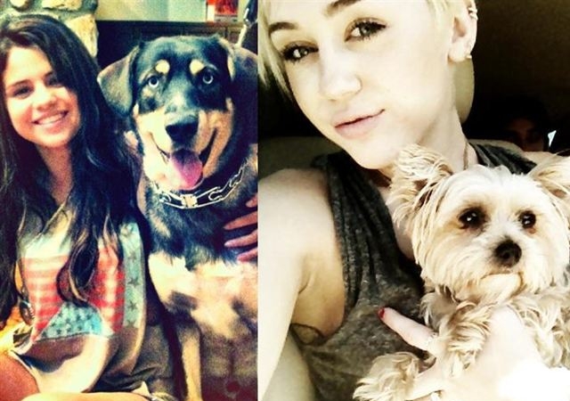 selenagomez-mileycyrus-perros.jpg