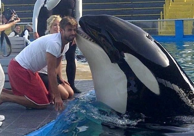 shakira-pique-vacaciones.jpg