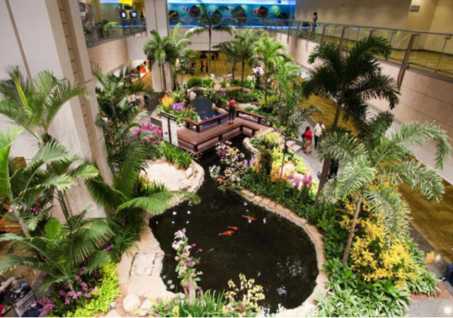 terminal-paraiso.png
