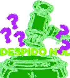 despido-nulo.jpg