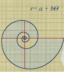 espiral-arquimedes.jpg