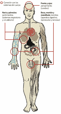 cuerpo.gif