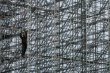 /imag/afp/2009/12/03/photo_1259838639563-1-2.jpg