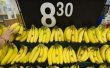 /imag/afp/2010/02/22/photo_1266862288371-2-2.jpg