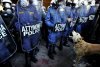 /imag/afp/2010/12/12/photo_1292163500350-1-2.jpg
