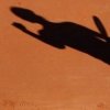 /imag/afp/2012/04/20/photo_1334943106199-1-2.jpg