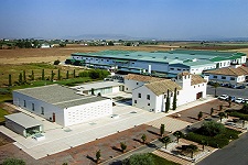 Hojiblancaint.jpg