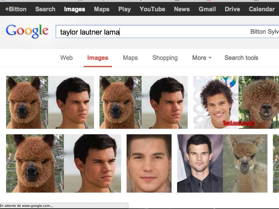 /imag/businessinsider/2013/04/01/the-12-funniest-google-searches-ever.jpg