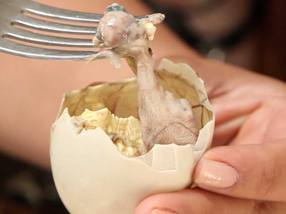 /imag/businessinsider/2013/08/03/we-ate-balut--the-absolute-strangest-food-you-can-find-in-new-york-city.jpg