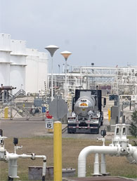 factoriaoil.jpg