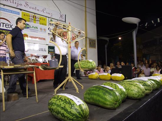 /imag/efe/2009/08/22/2452566w.jpg
