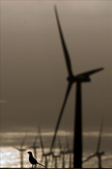 /imag/efe/2011/01/05/20110105-3566321w.jpg