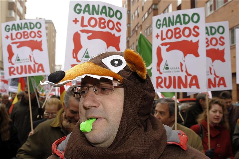 /imag/efe/2012/01/05/20120105-4292263w.jpg