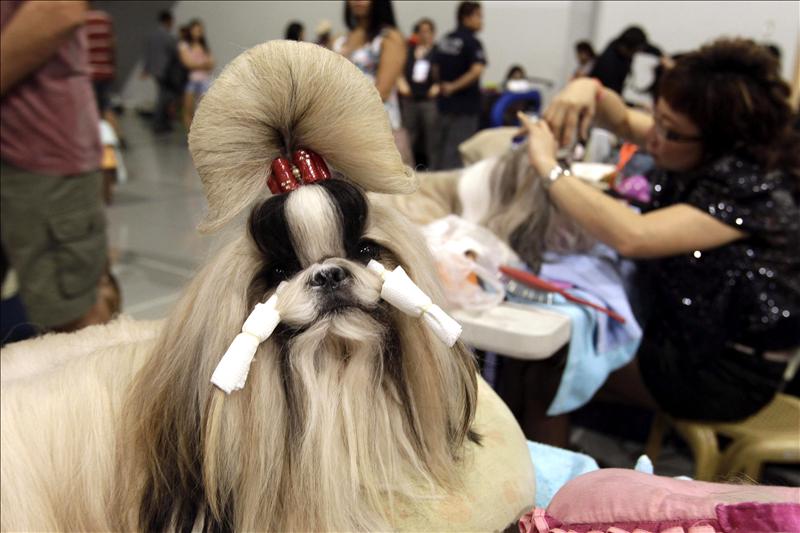 /imag/efe/2012/08/21/20120821-4776504w.jpg