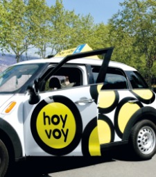 hoyvoydos