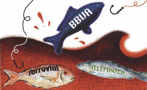 bolsa-peces.JPG