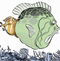 peces-puebla.JPG