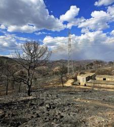 incendiovalencia225.jpg