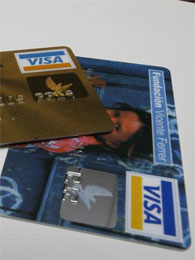 visa.jpg