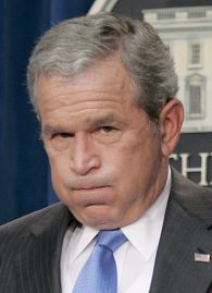 bush.jpg