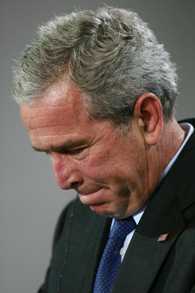 bush2.jpg