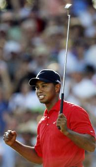 tiger.jpg
