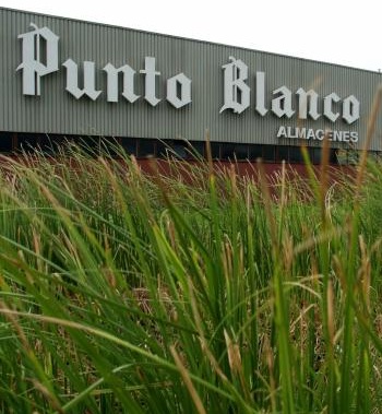 punto1.JPG