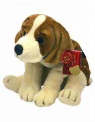 beagle.jpg