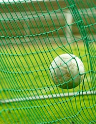 gol.jpg