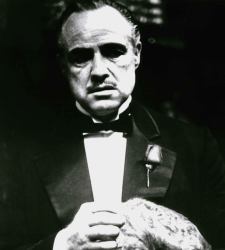 mafia.jpg