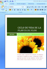 word2007.jpg
