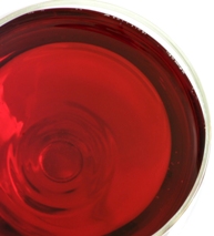 vino.jpg